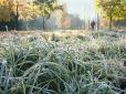 В Україні в найближчі дні очікується холодна, дощова погода з нічними заморозками