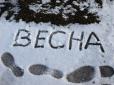 Сніг у травні: Зранку у Києві випали аномальні опади (фотофакт)