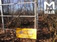 Росія перелякана загрозою епідемії: Розшукують злодіїв, які можуть бути заражені сибірською виразкою