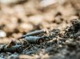 Чорний дим піднявся в небо: Українські військові потужно помстилися окупантам за провокації (відео)